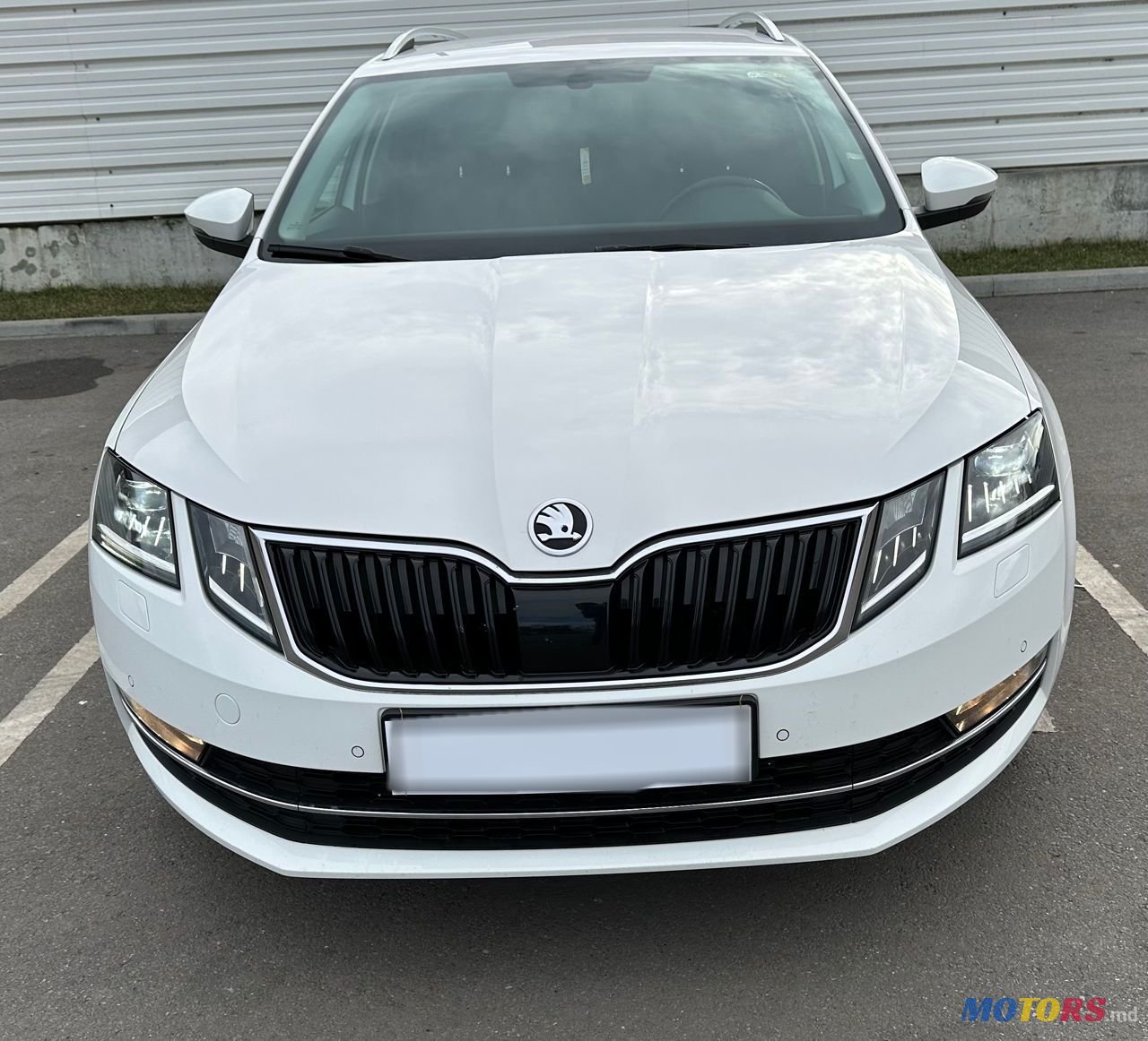 2019' Skoda Octavia photo #1