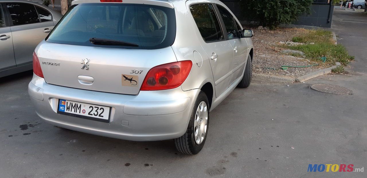 2004' Peugeot 307 photo #2