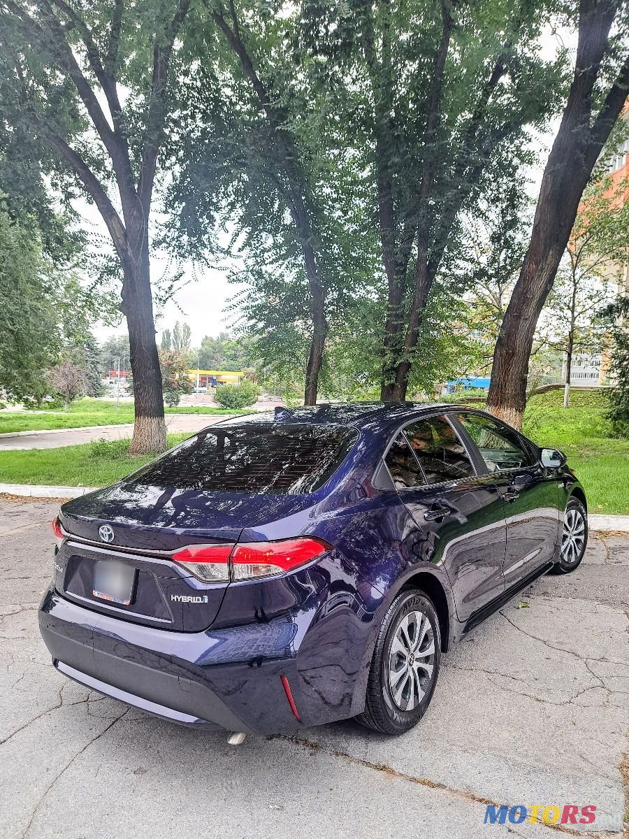 2020' Toyota Corolla photo #3