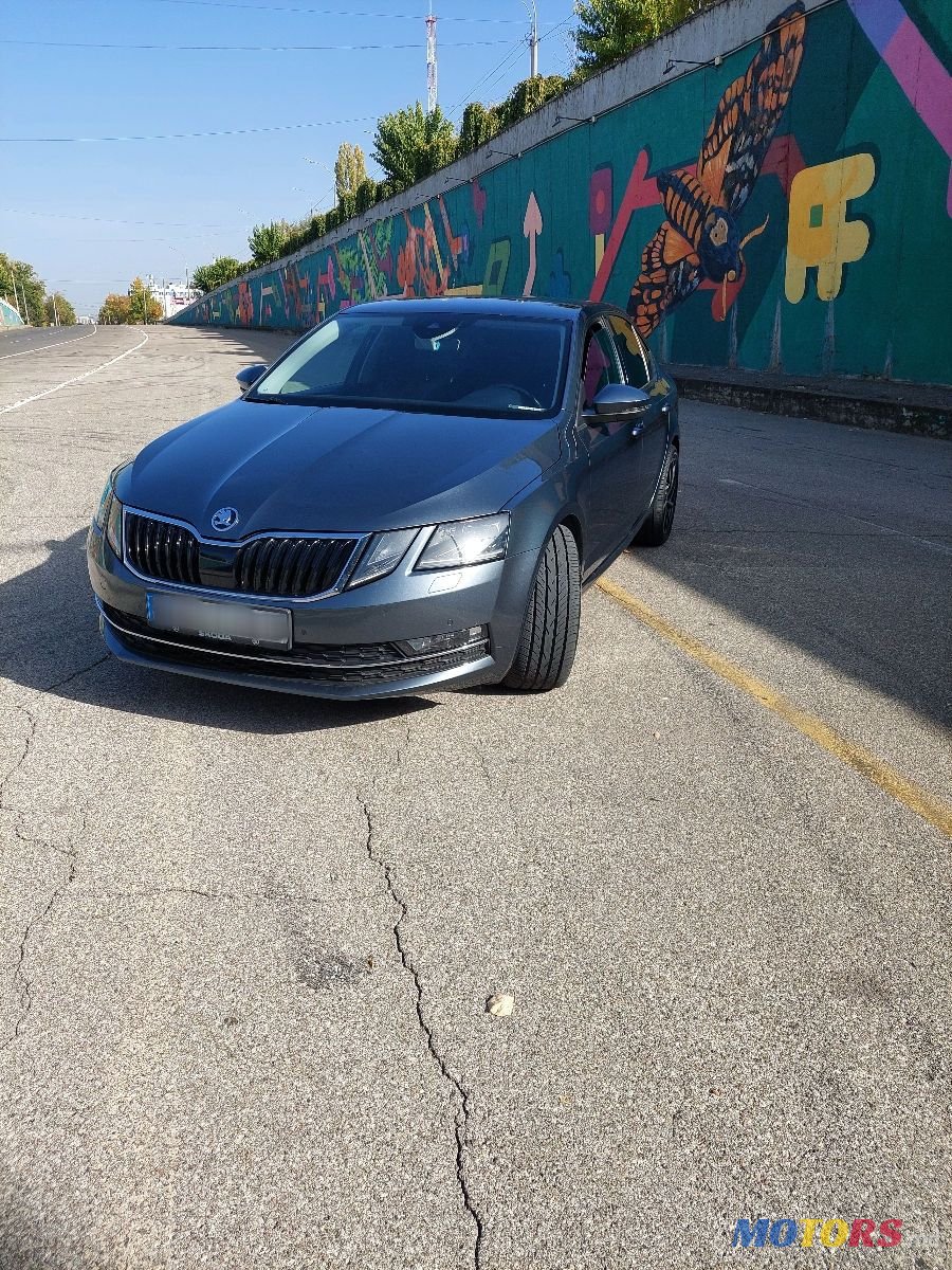 2017' Skoda Octavia photo #2
