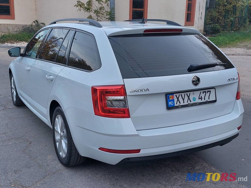 2017' Skoda Octavia photo #3