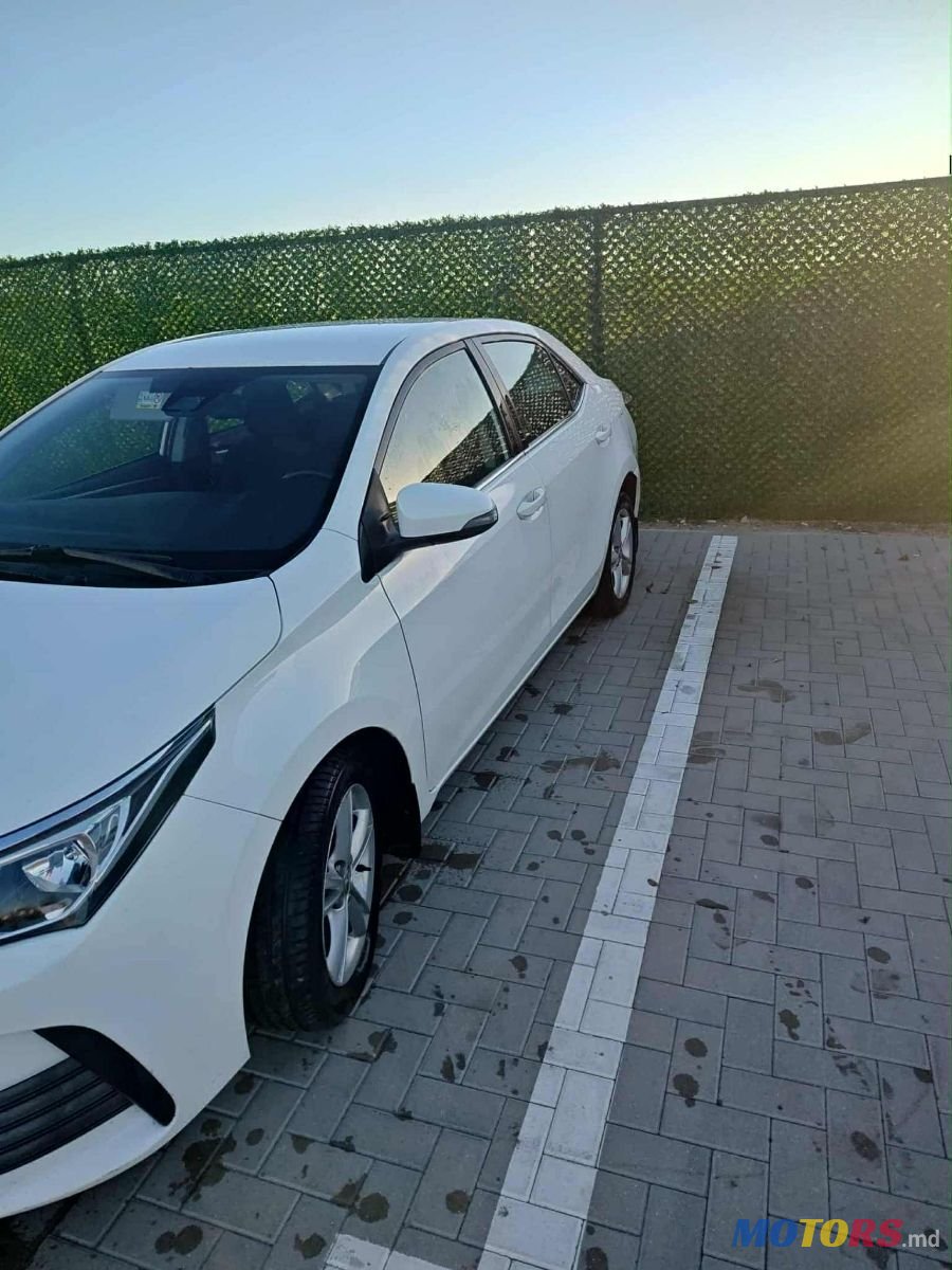 2018' Toyota Corolla photo #3