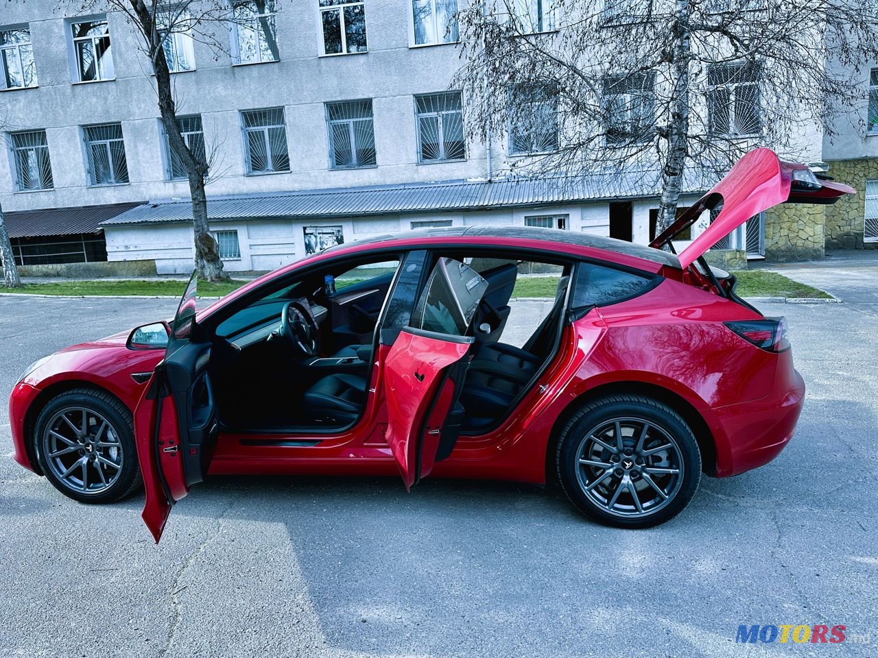 2021' Tesla Model 3 photo #2