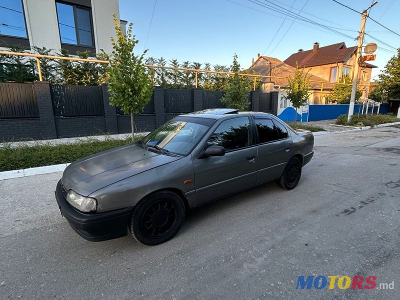 1993' Nissan Primera photo #3