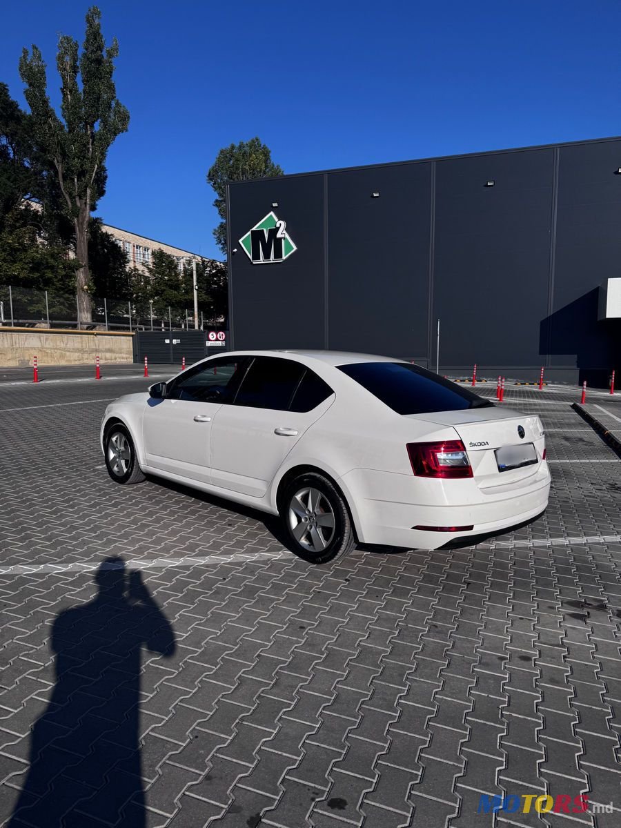 2017' Skoda Octavia photo #5