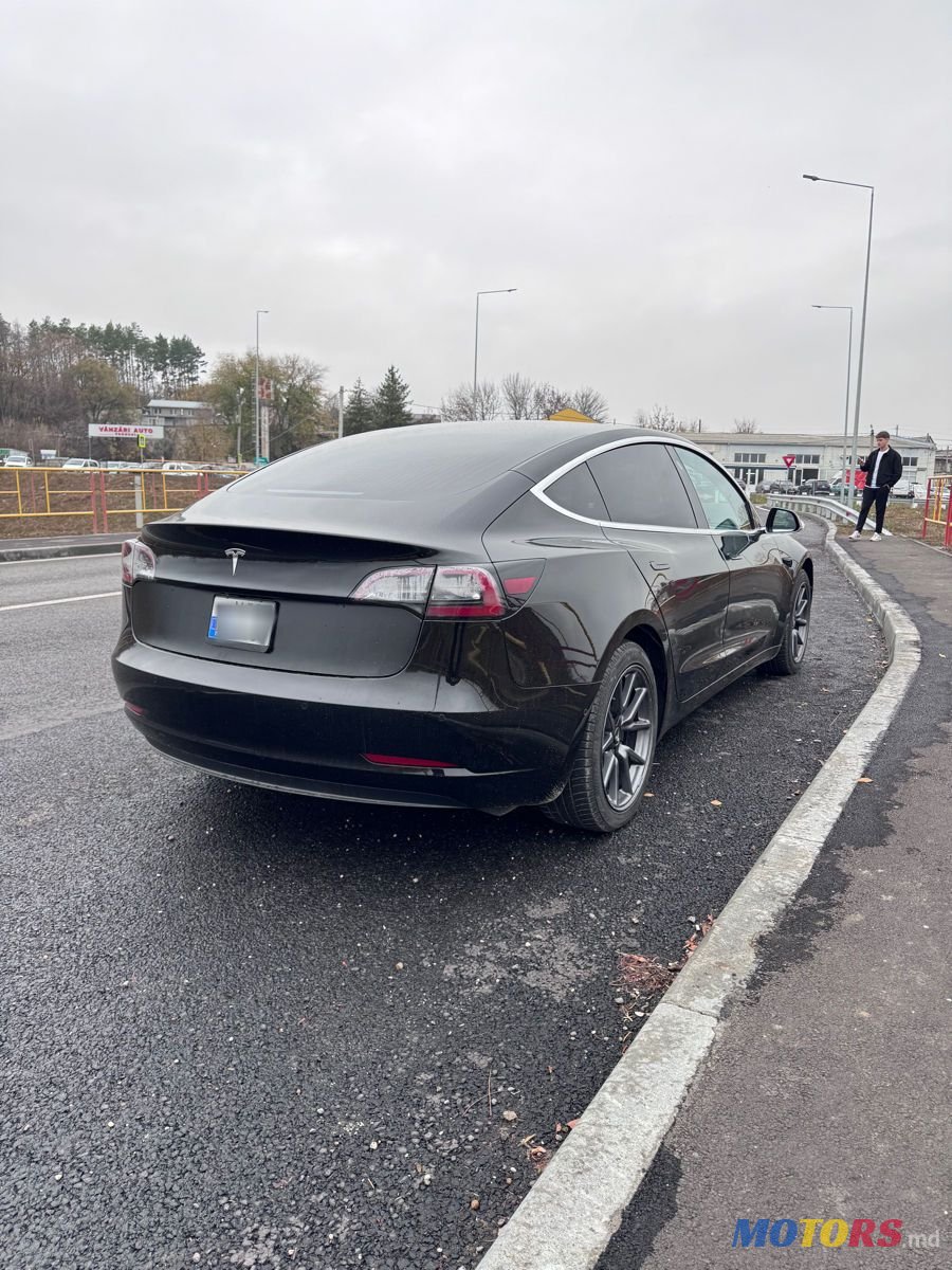 2019' Tesla Model 3 photo #6