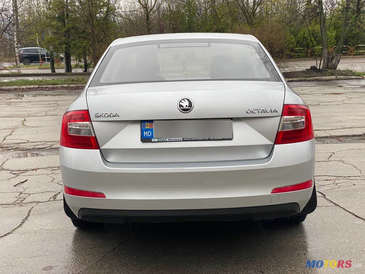 2014' Skoda Octavia photo #5