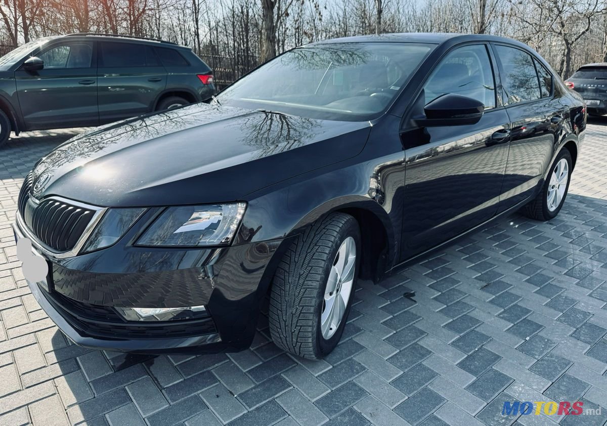 2019' Skoda Octavia photo #2