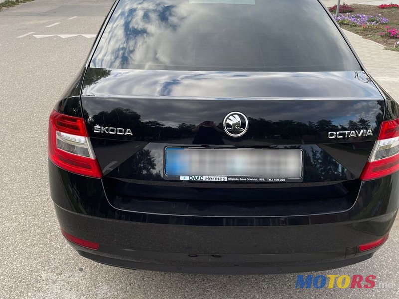 2018' Skoda Octavia photo #2