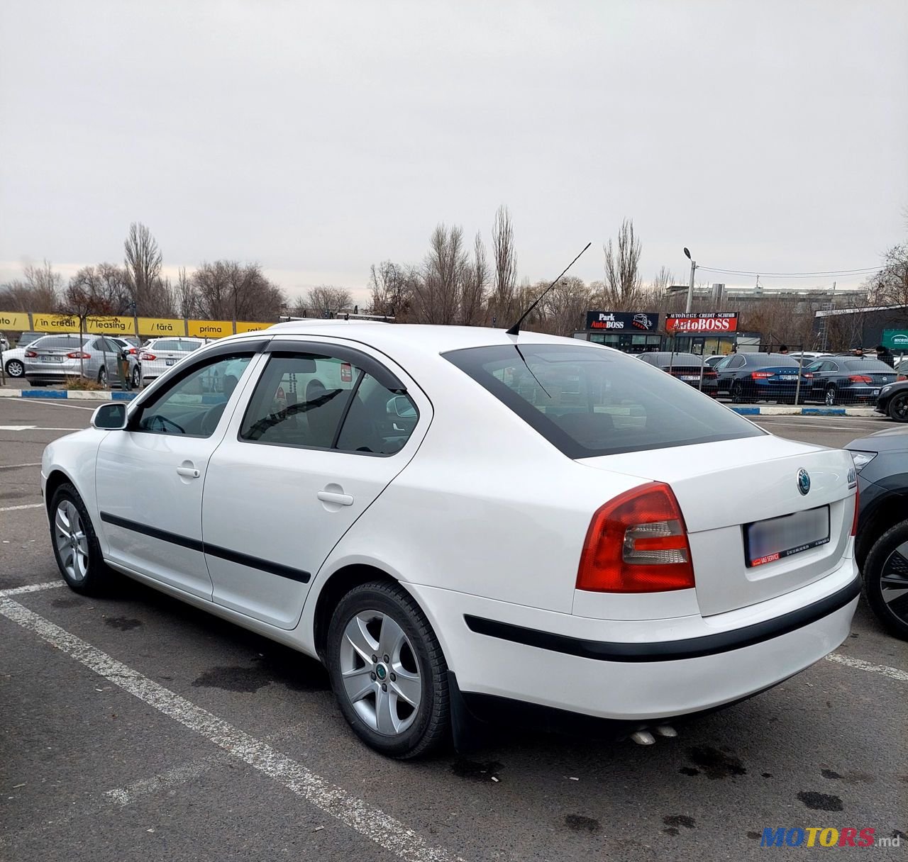 2008' Skoda Octavia photo #4
