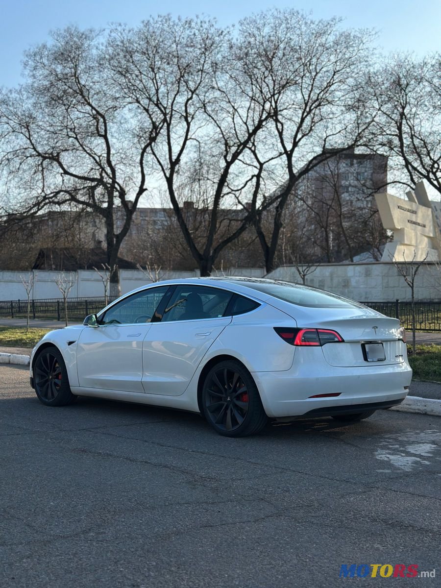 2019' Tesla Model 3 photo #4
