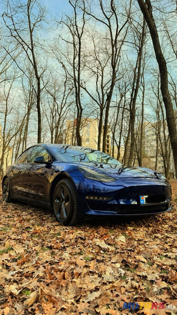 2020' Tesla Model 3 photo #2