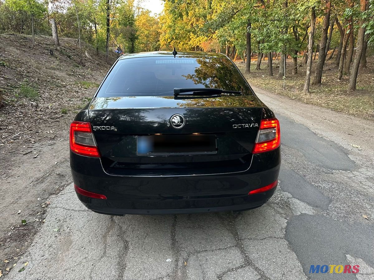 2015' Skoda Octavia photo #6