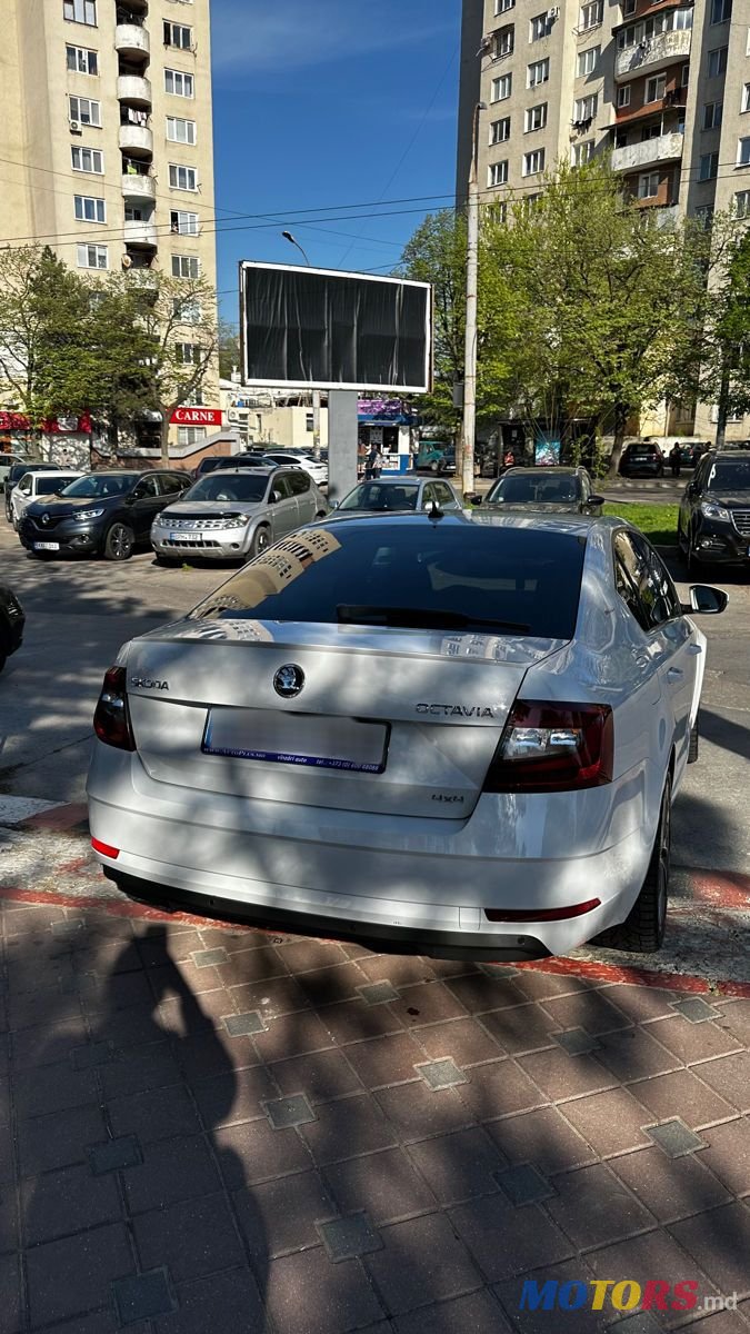 2017' Skoda Octavia photo #3