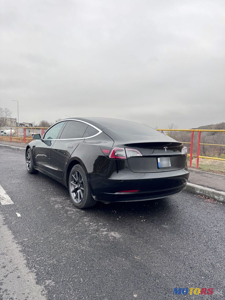2019' Tesla Model 3 photo #4