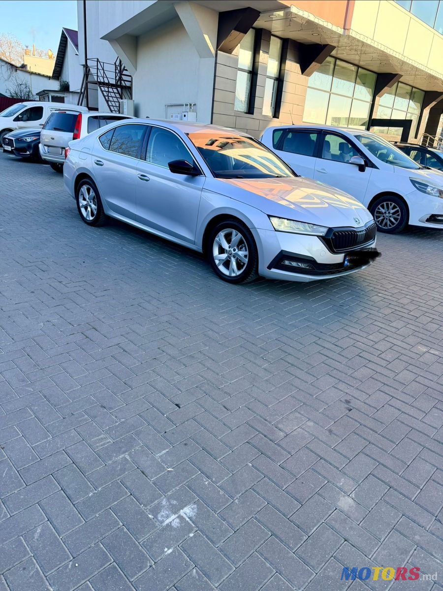2020' Skoda Octavia photo #3