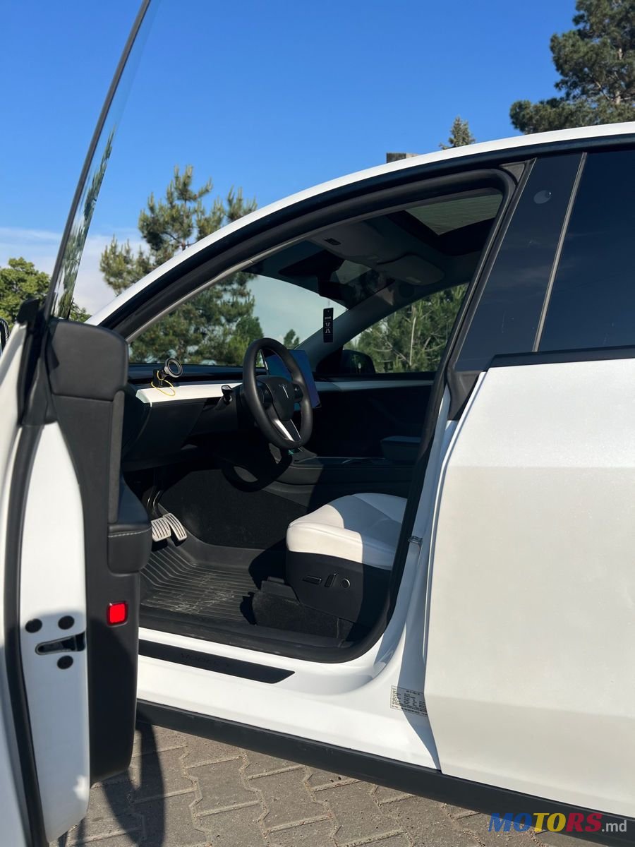 2023' Tesla Model Y photo #6