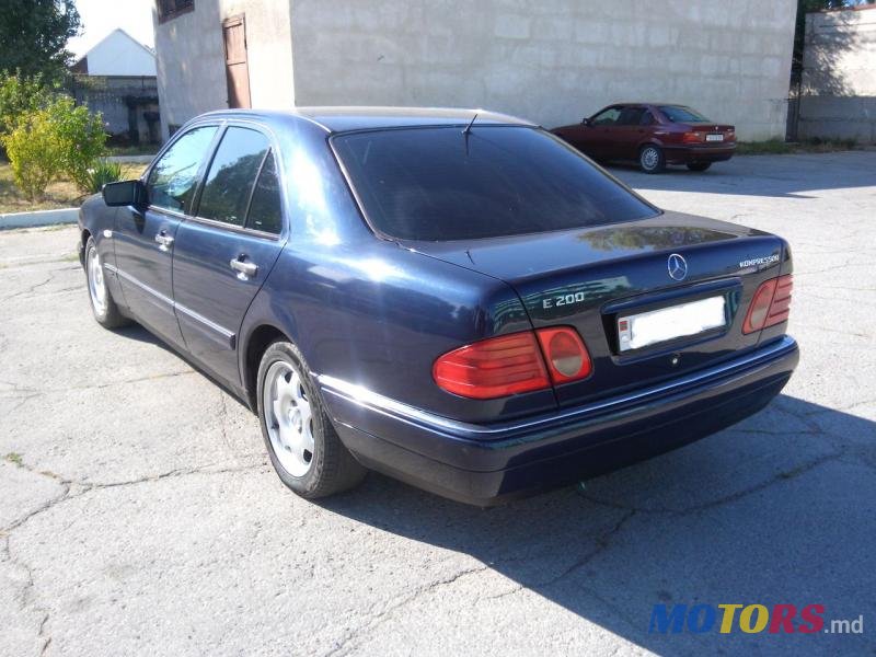 1998' Nissan Maxima photo #2