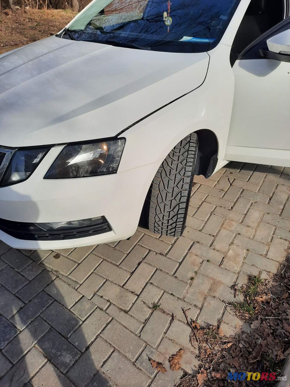 2019' Skoda Octavia photo #2