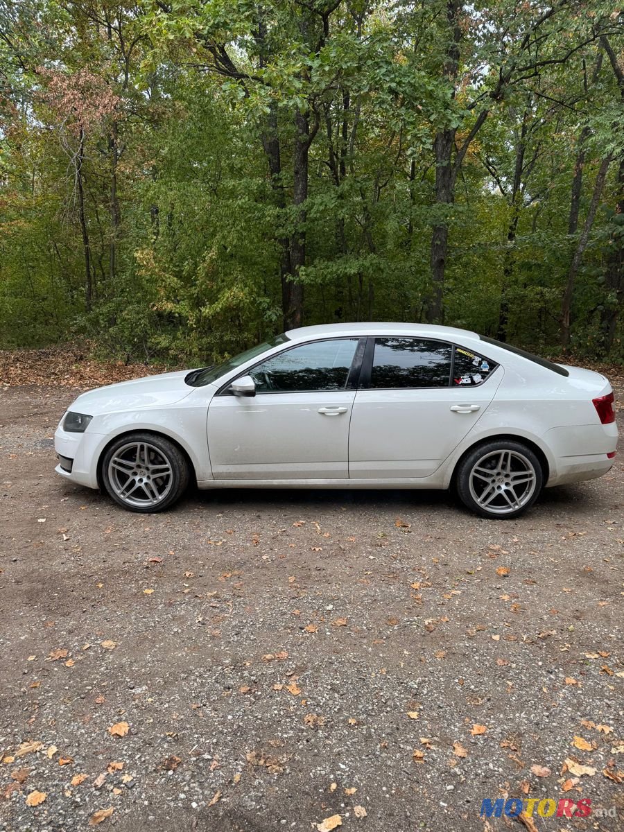 2013' Skoda Octavia photo #2