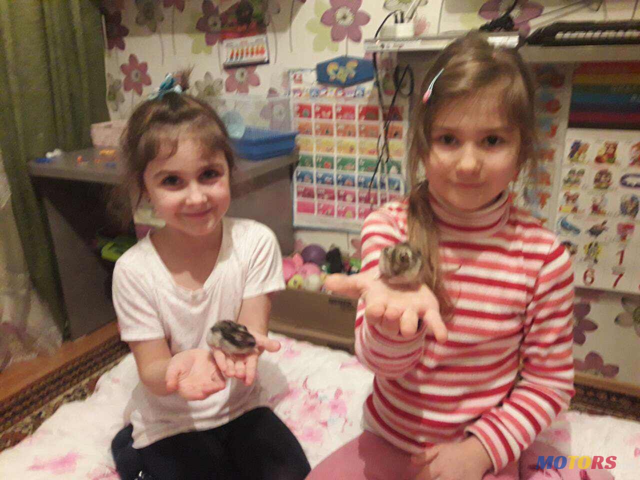 1994' Volkswagen Golf GTI photo #3