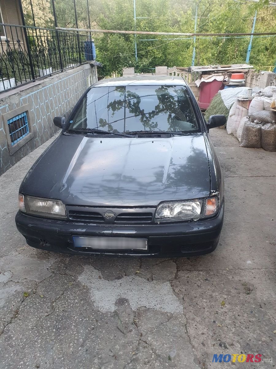 1993' Nissan Primera photo #4