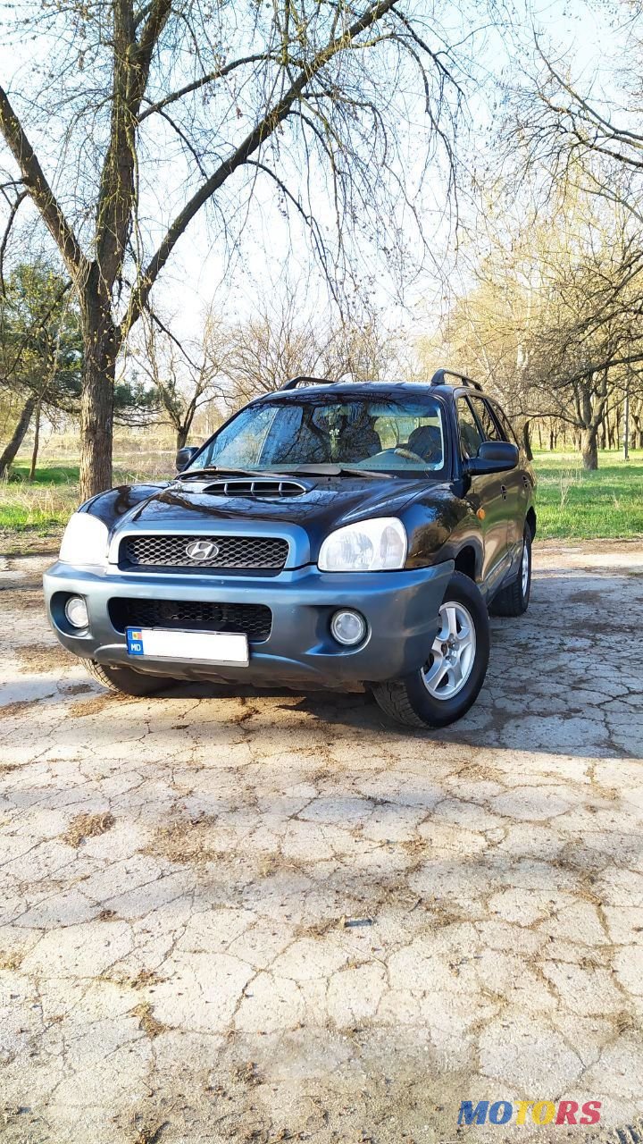 2003' Hyundai Santa Fe photo #2
