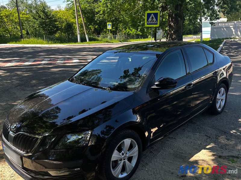 2019' Skoda Octavia photo #3