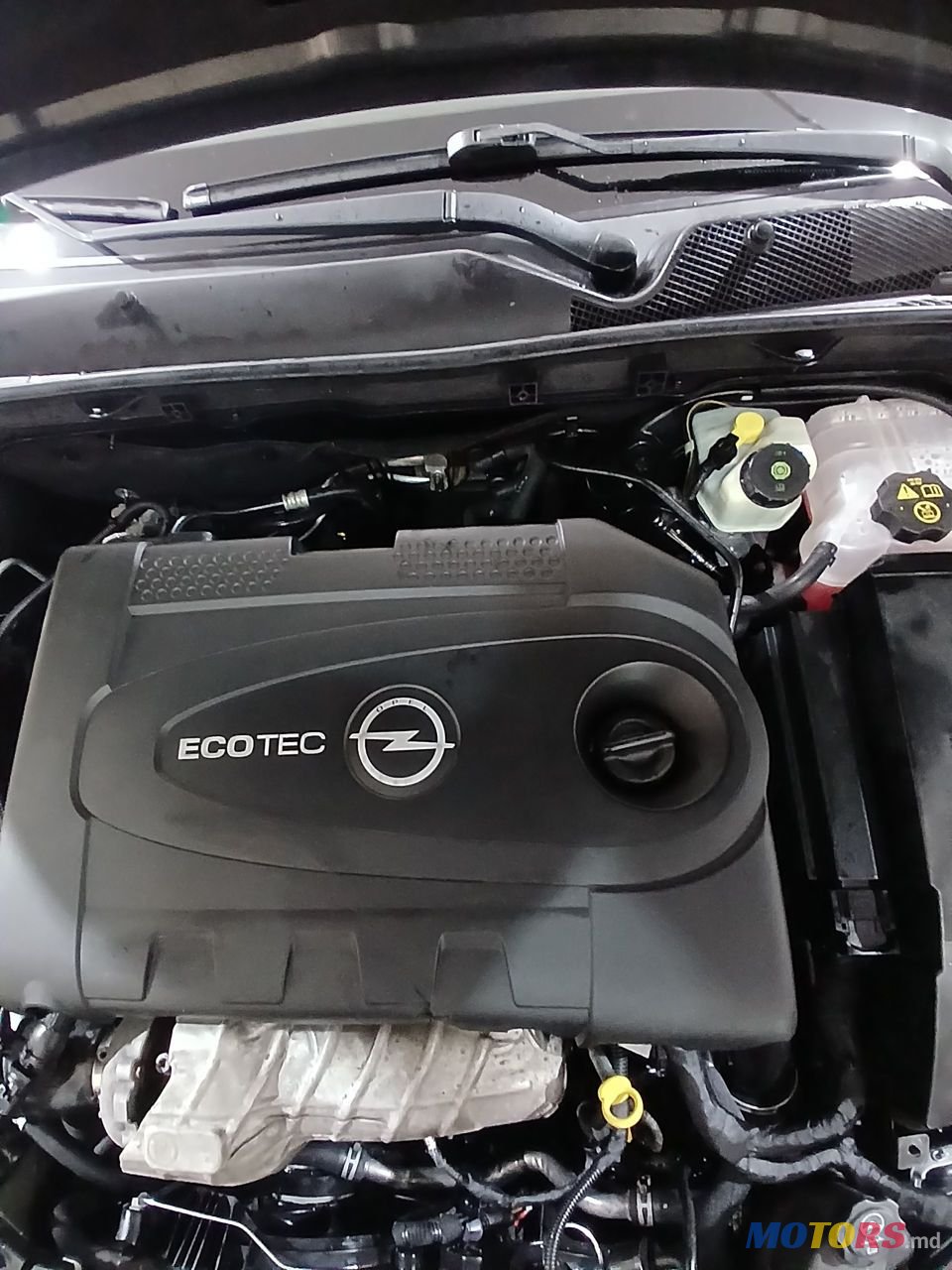 2010' Opel Insignia photo #5