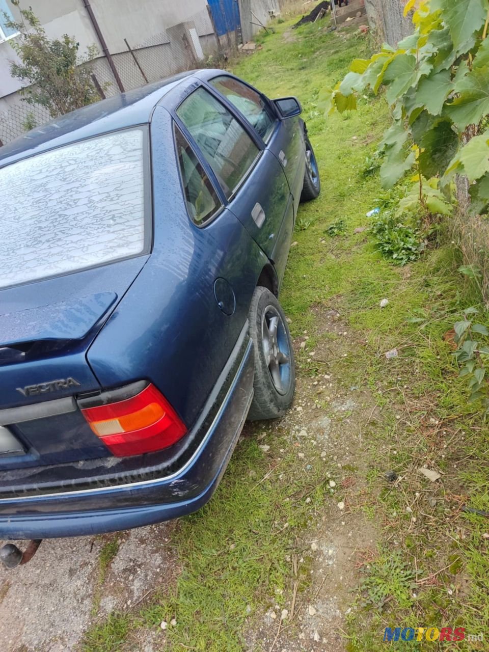 1993' Opel Vectra photo #4