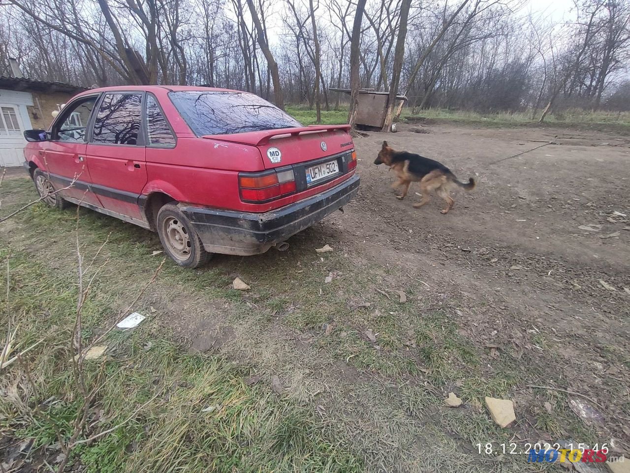 1991' Volkswagen Passat photo #4