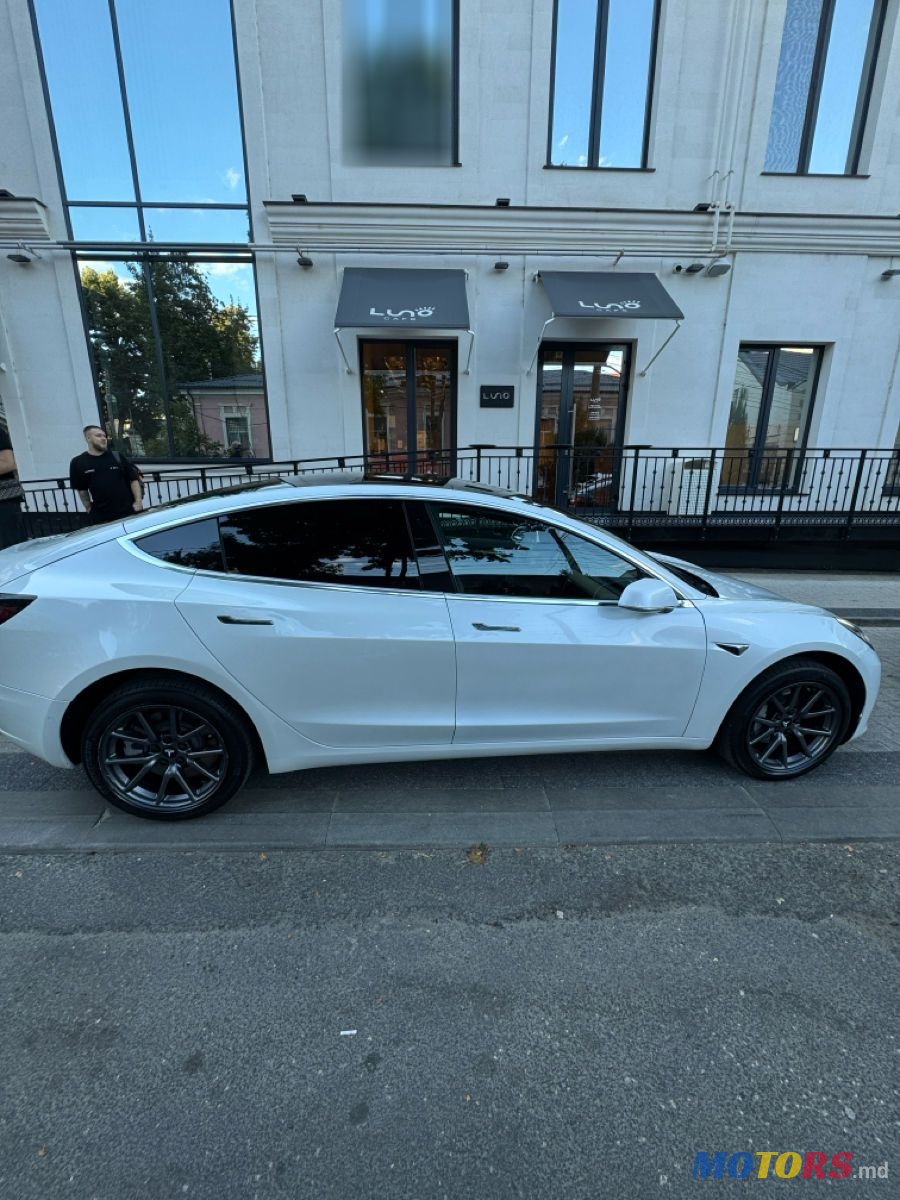 2020' Tesla Model 3 photo #3