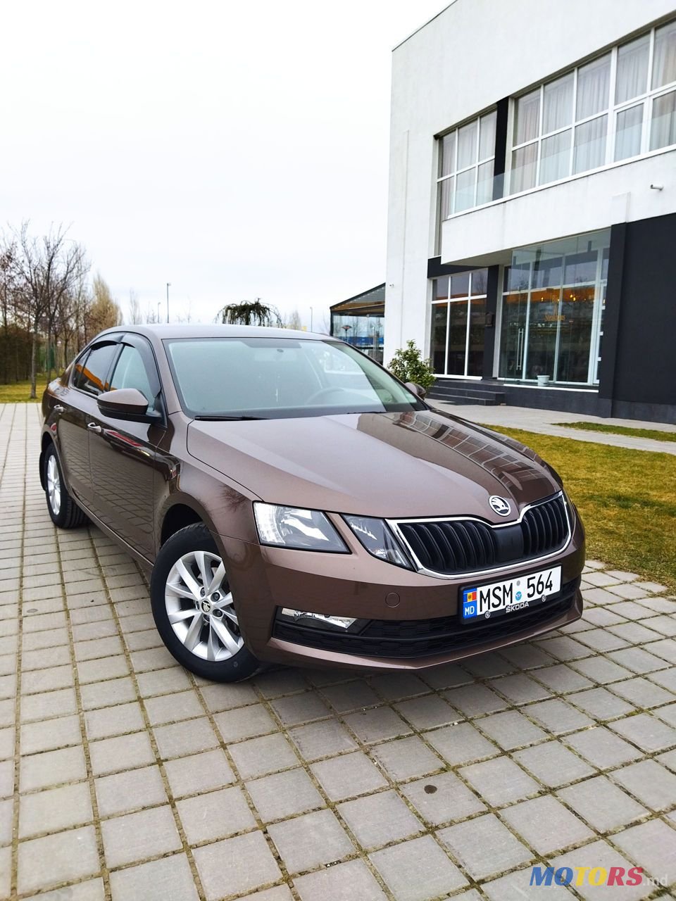 2019' Skoda Octavia photo #2
