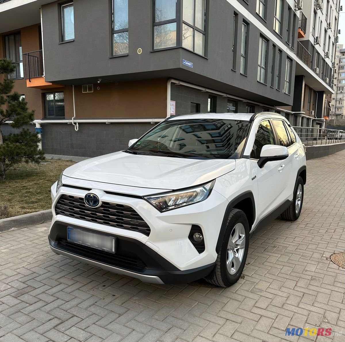 2021' Toyota RAV4 photo #1