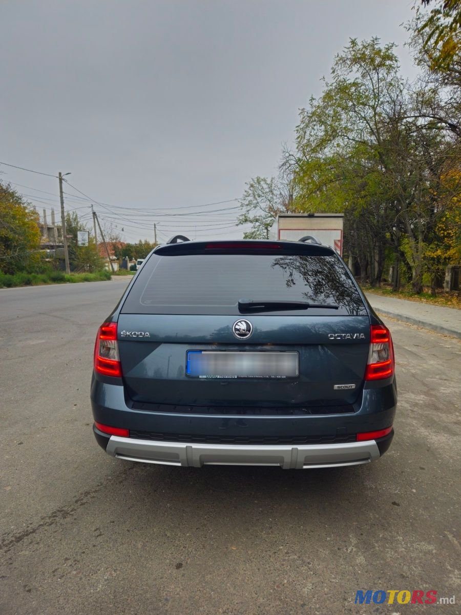 2015' Skoda Octavia photo #5
