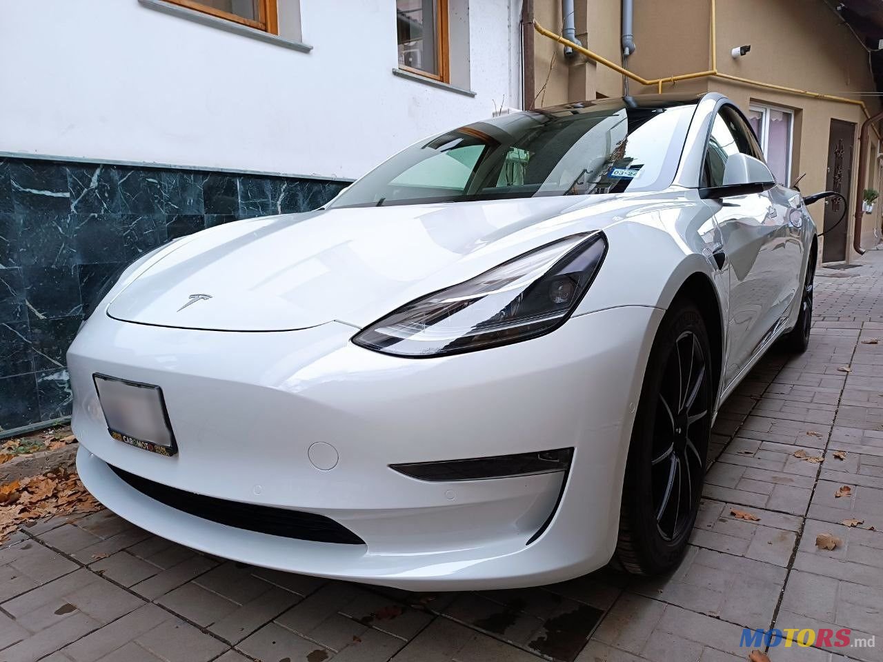 2021' Tesla Model 3 photo #1