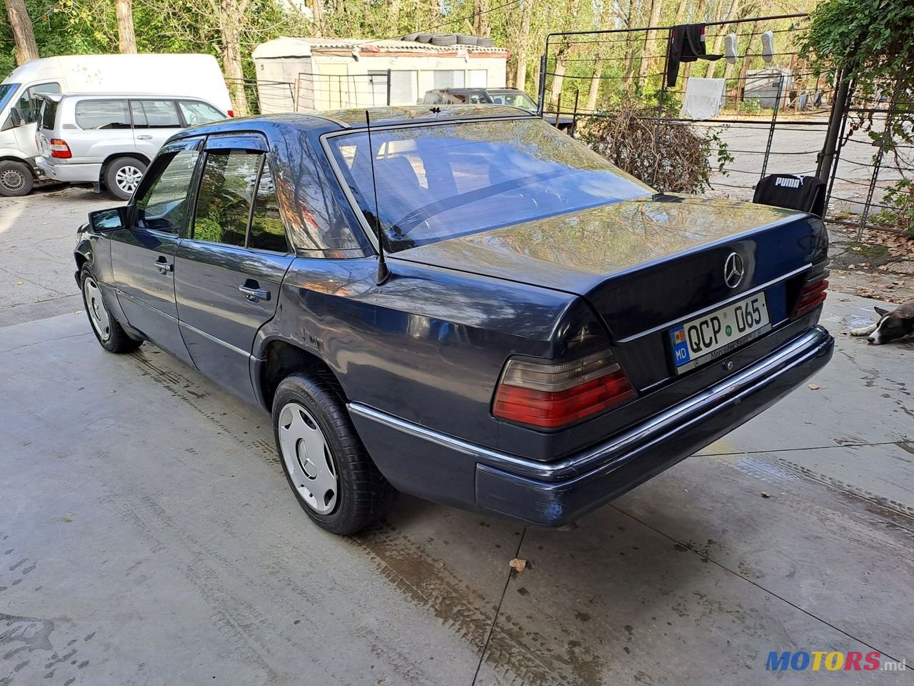 1993' Mercedes-Benz W124 photo #4