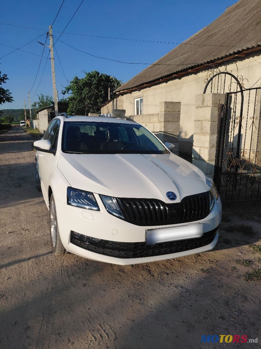 2017' Skoda Octavia photo #2