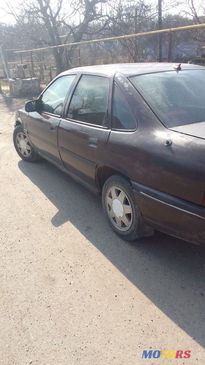 1994' Opel Vectra photo #4