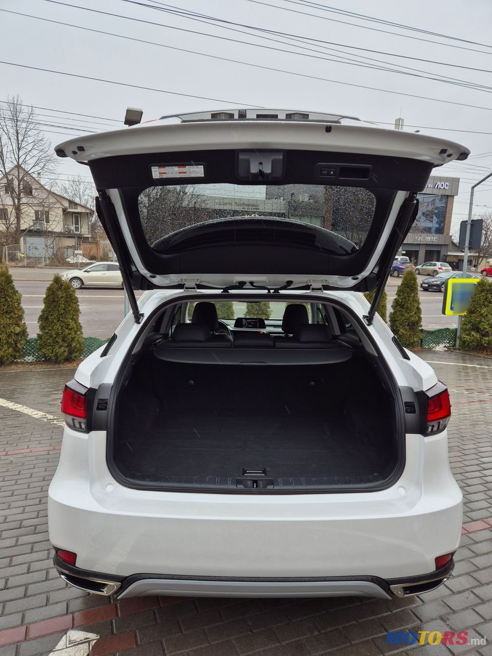 2021' Lexus Rx Series photo #4