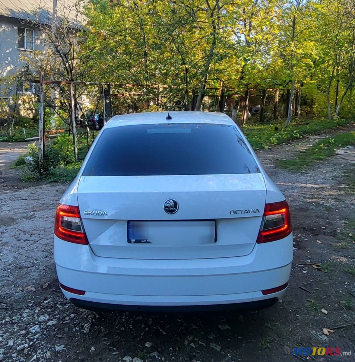 2019' Skoda Octavia photo #4