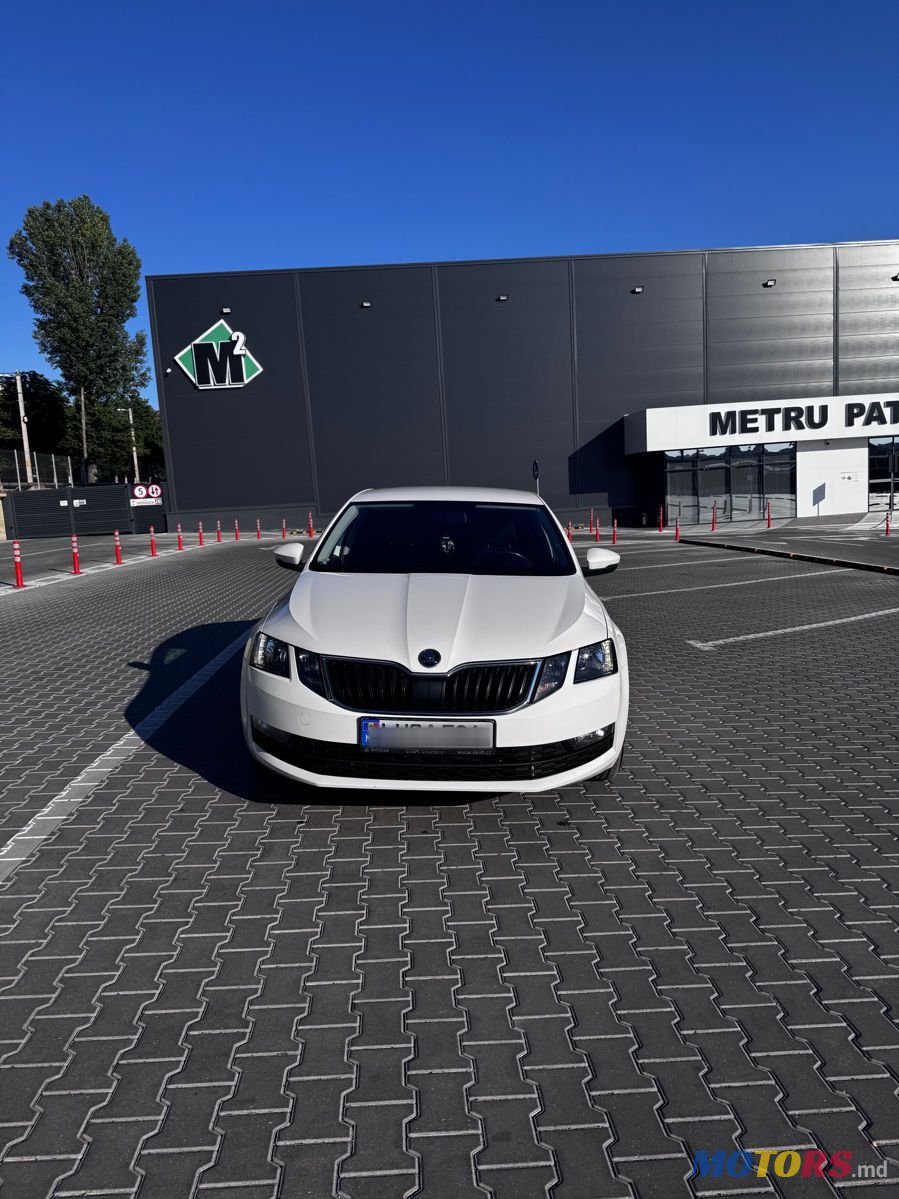 2017' Skoda Octavia photo #1
