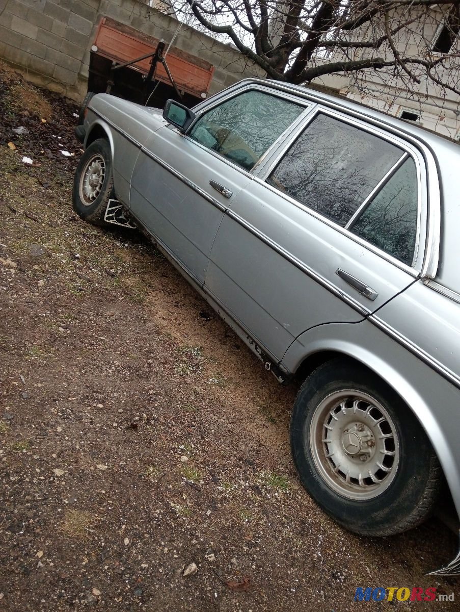 1981' Mercedes-Benz W123 photo #3