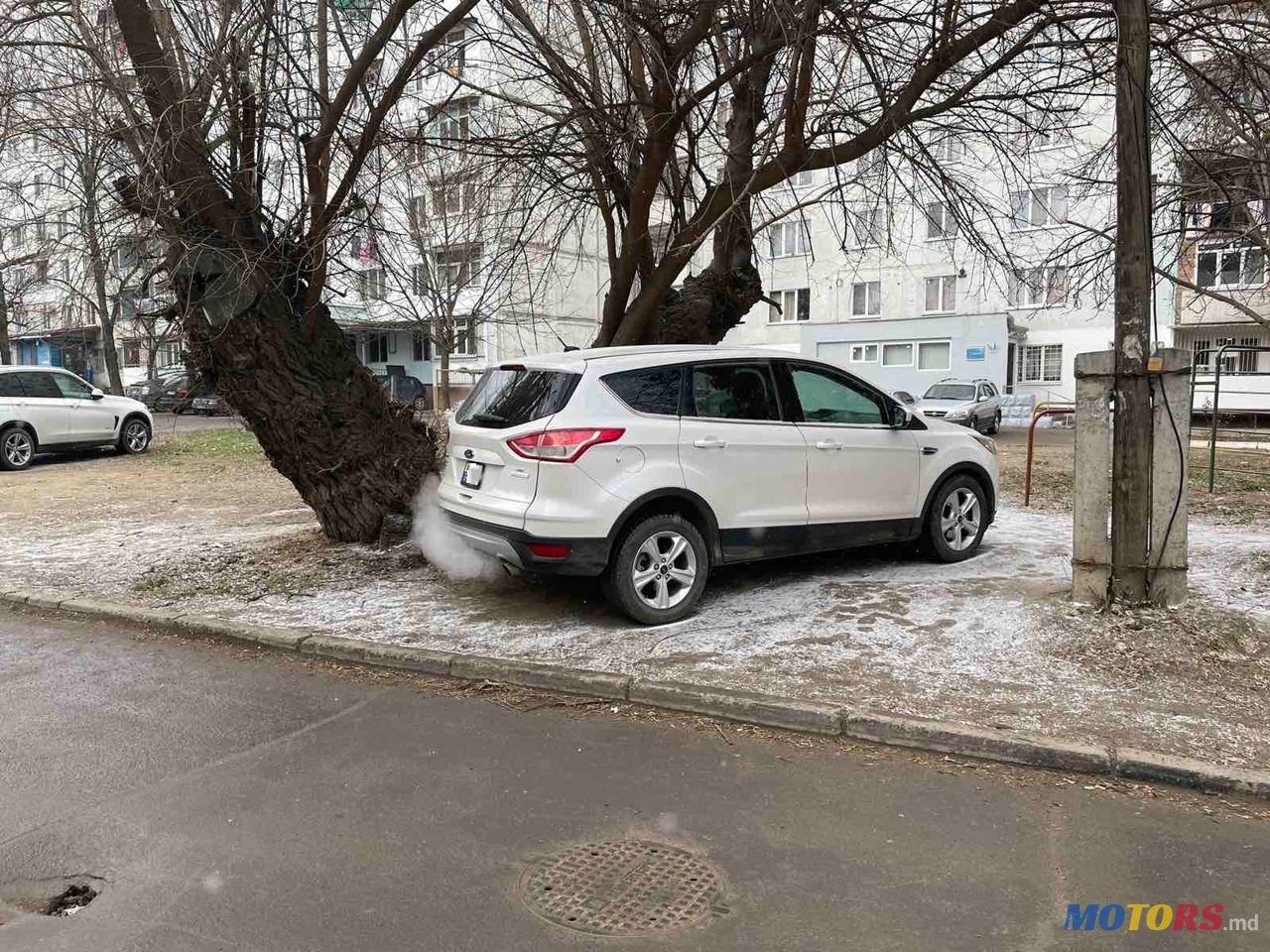 2015' Ford Escape photo #6