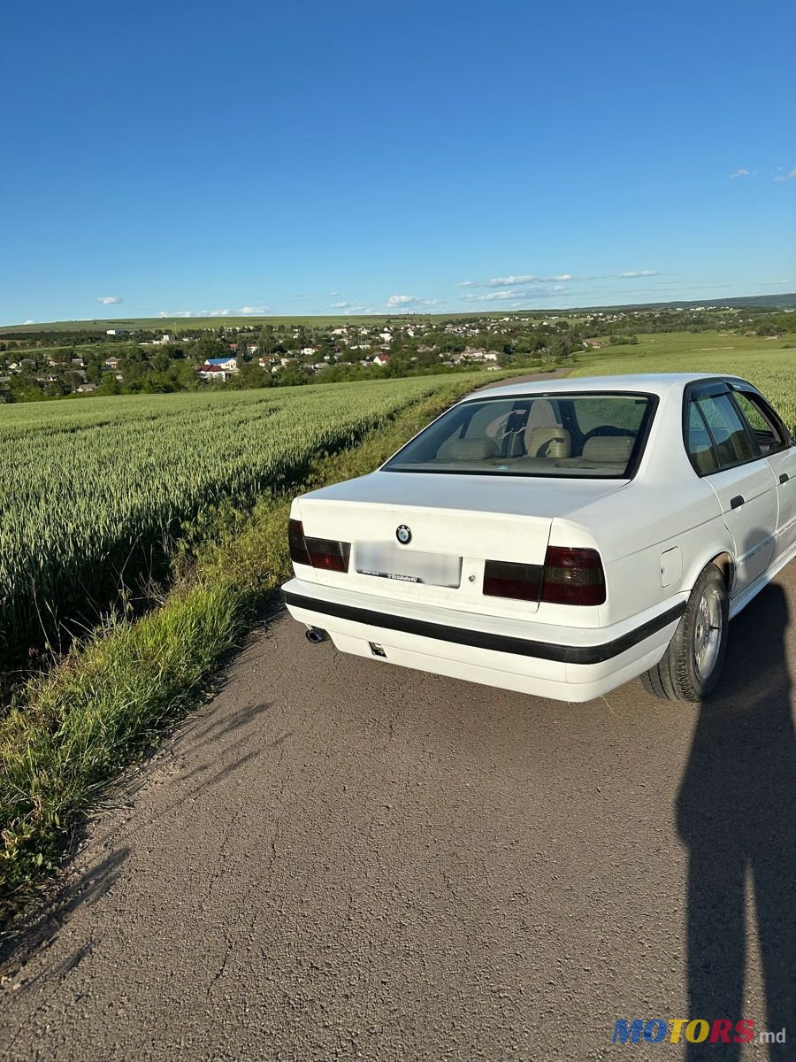 1995' BMW 5 Series photo #5