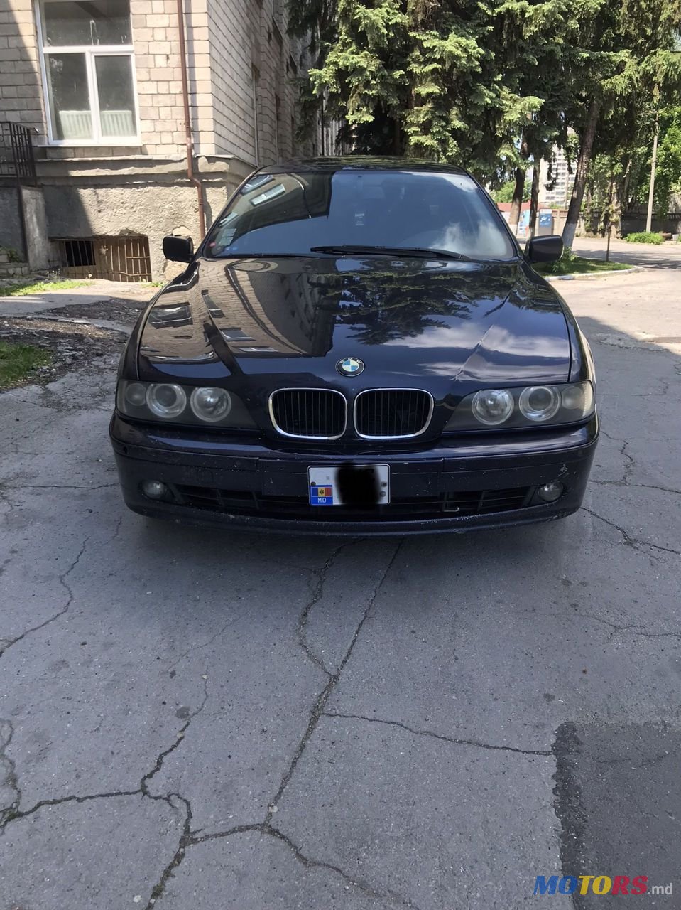 2001' BMW 5 Series photo #1