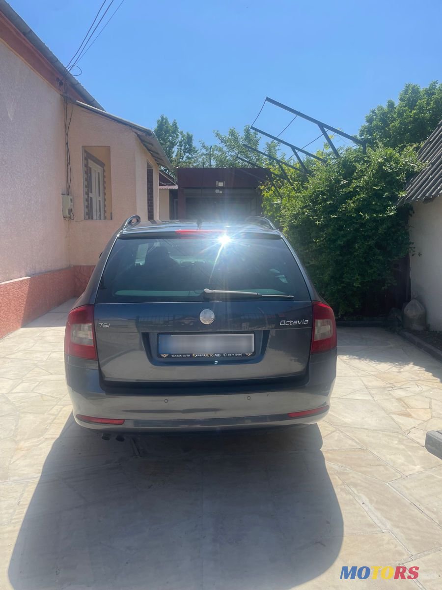 2009' Skoda Octavia photo #3