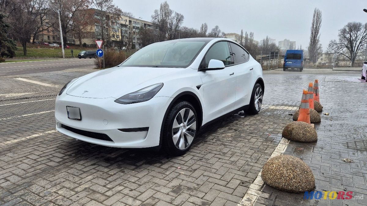 2023' Tesla Model Y photo #1
