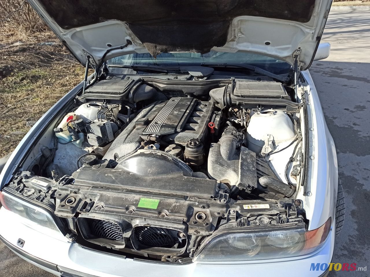 1999' BMW 5 Series photo #6