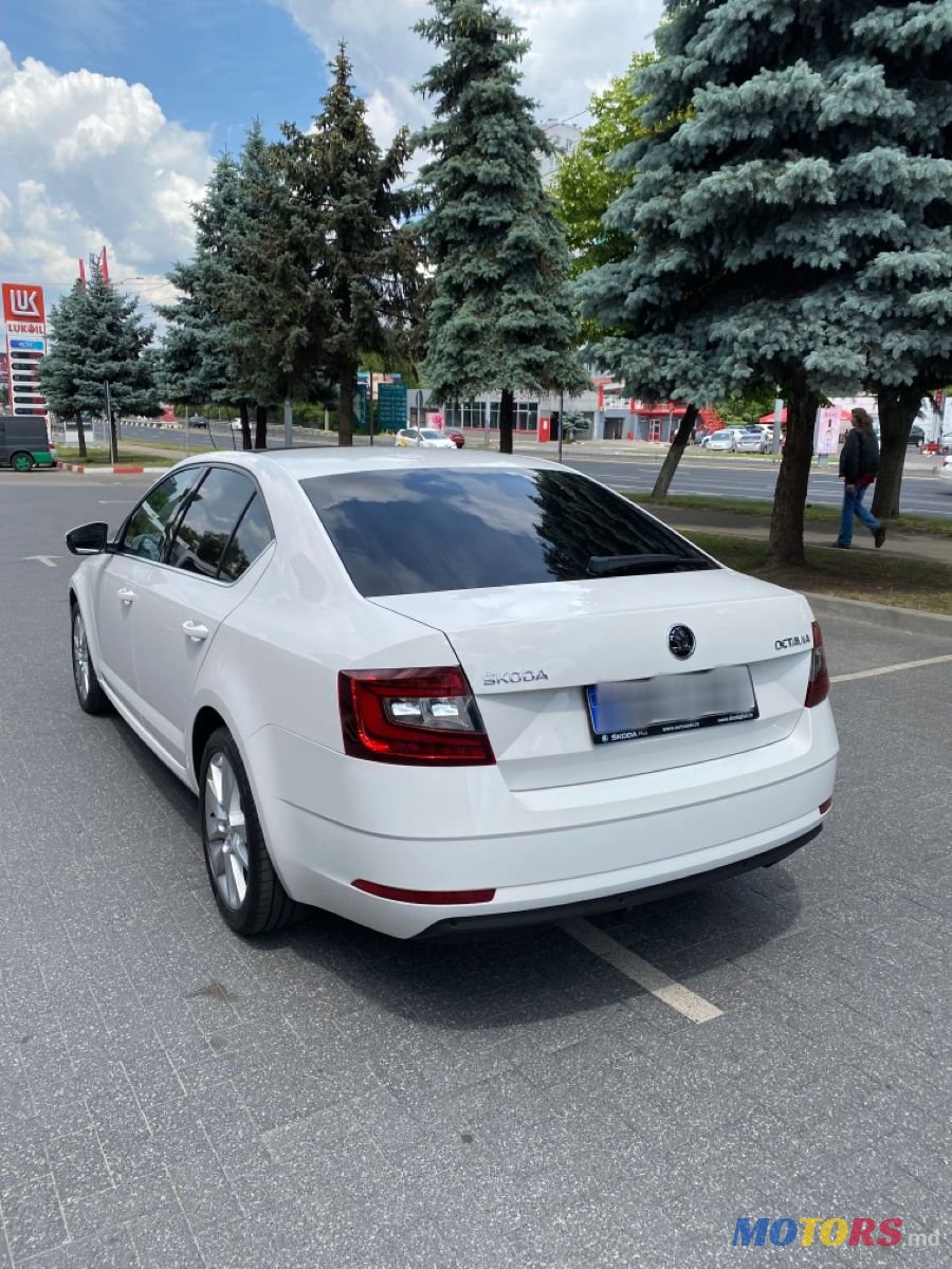 2018' Skoda Octavia photo #3